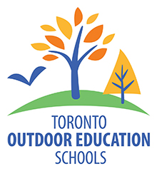 TOES logo